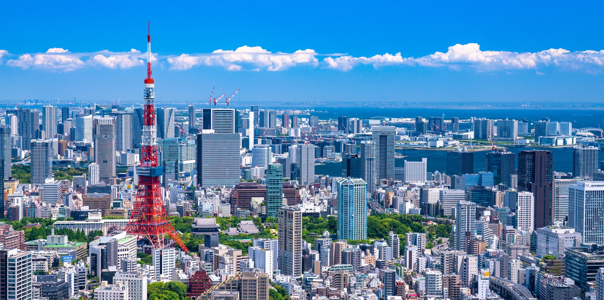 東京都で交通事故に強い弁護士をお探しの方へ 東京都の交通事故に強い弁護士
